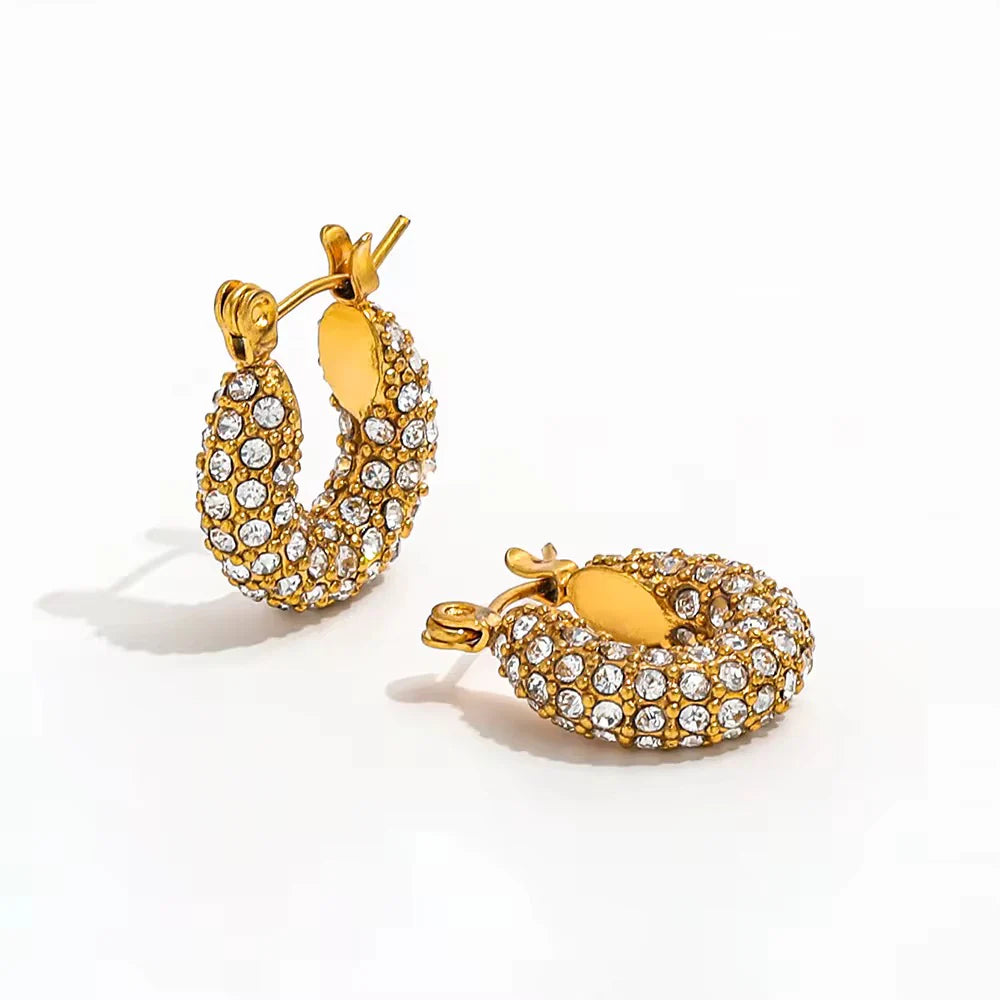 Nish Studded Earrings