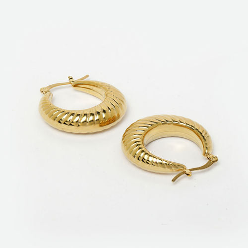 Elegance Hoop Earrings