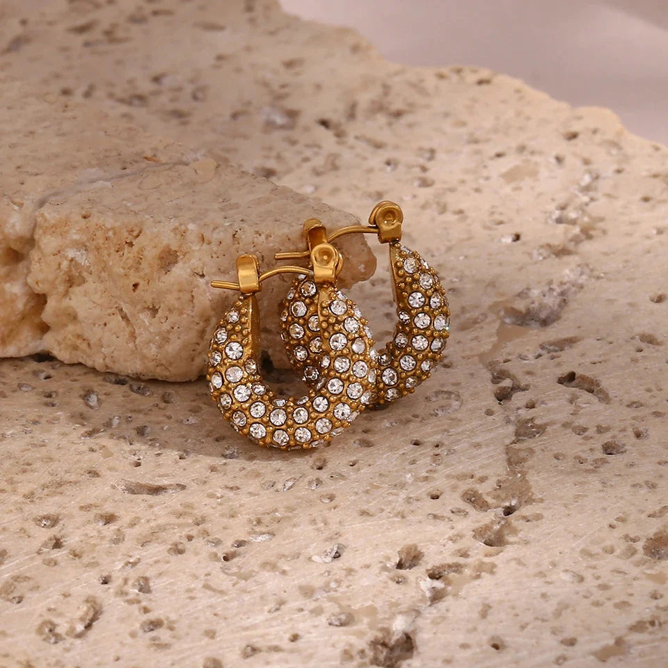 Nish Studded Earrings