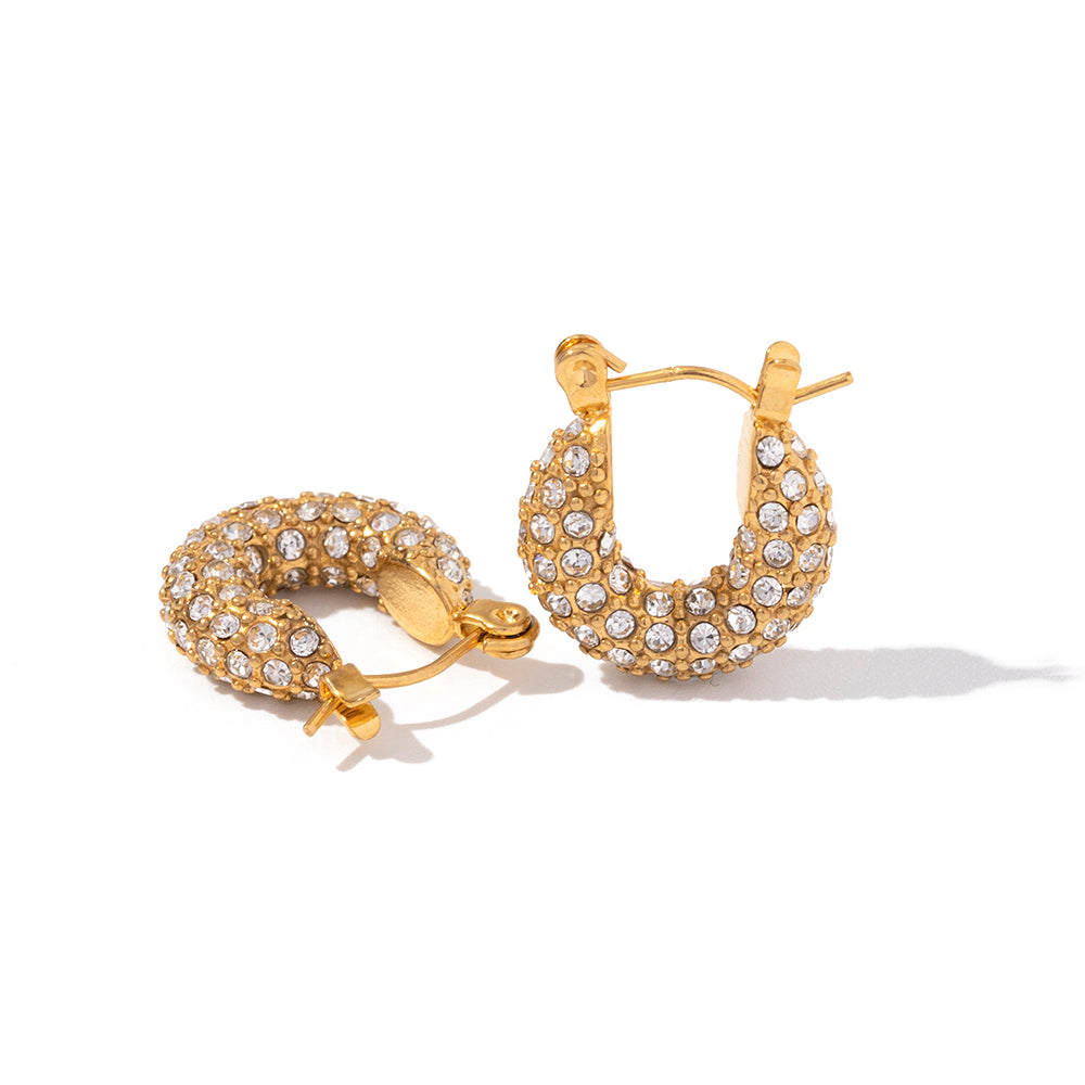 Nish Studded Earrings