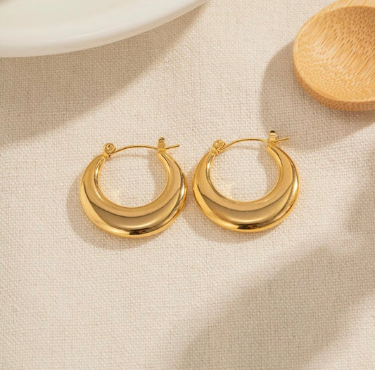 Sleek Hoop Earrings