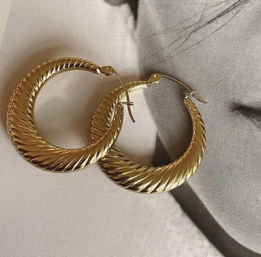 Selena Hoop Earrings