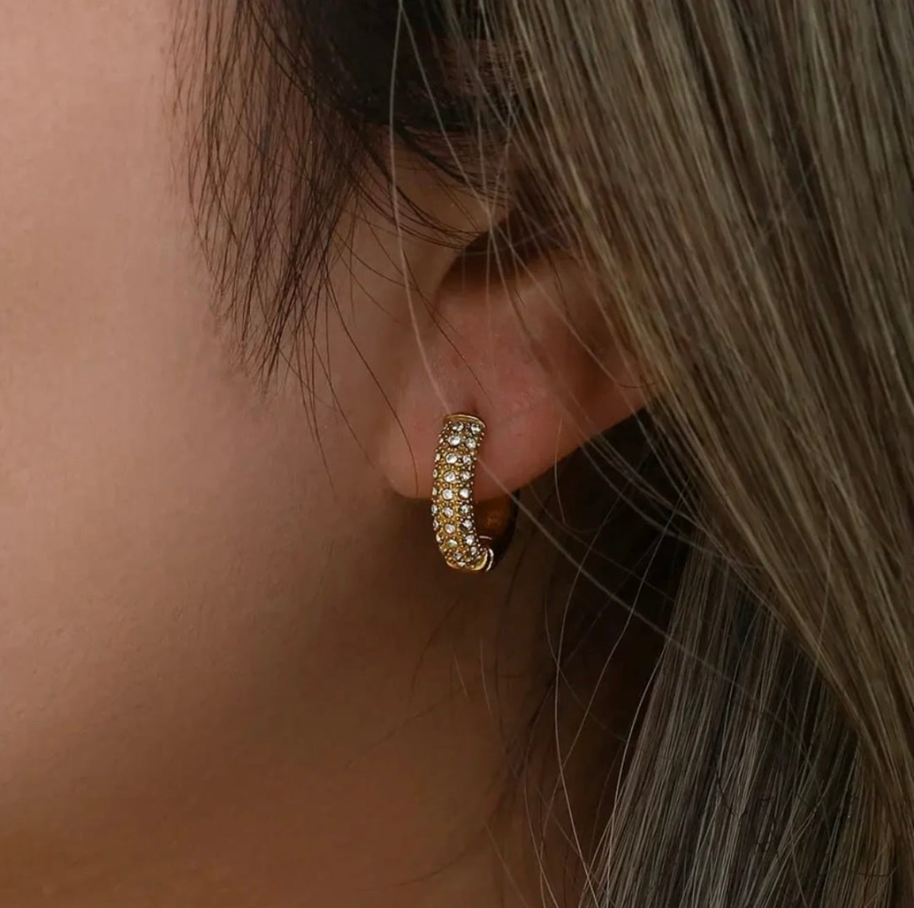 Eden Studded Earrings