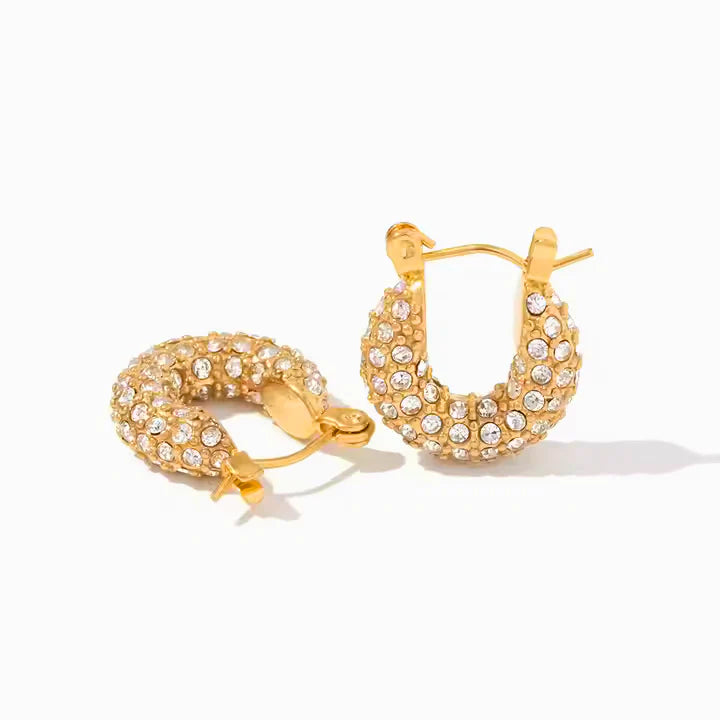 Nish Studded Earrings